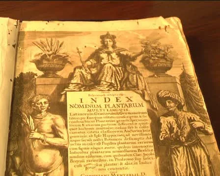 Old books Stock Footage 11405221