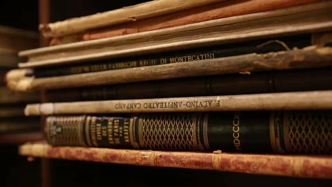 Old books in a library Stock Footage 166902208
