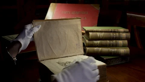 Old Books Library Stock-Footage 170938936