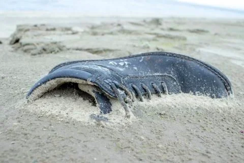 Old boot. Stock Photos