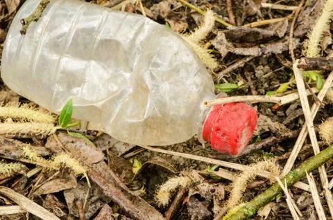 Old bottle with red cap in the grass. Stock-Fotos