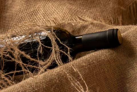 Old bottle of wine. Stock Photos