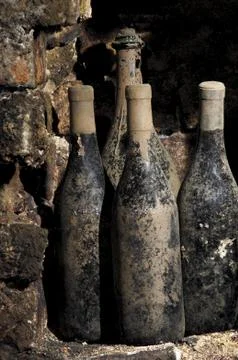 Old bottles in a cellar Stock Photos
