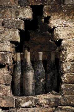 Old bottles in a cellar Stock Photos