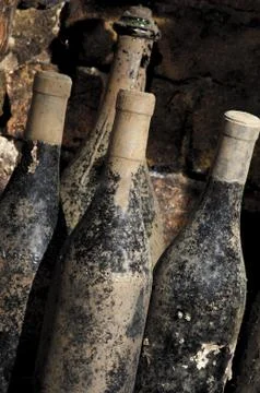 Old bottles in a cellar Stock Photos