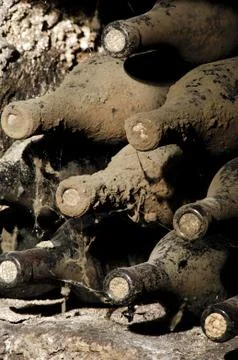 Old bottles in a cellar Stock Photos
