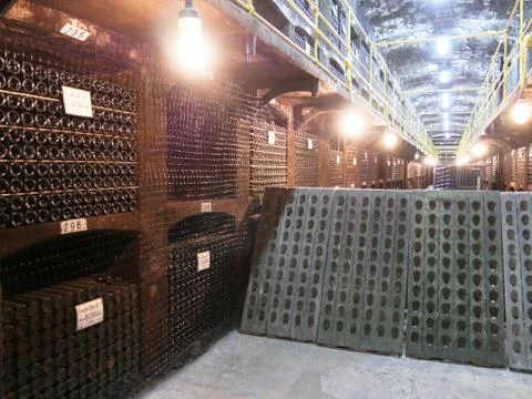 Old bottles of wine in rows in wine cellar. Rows of many wine bottles in winery Stock Photos