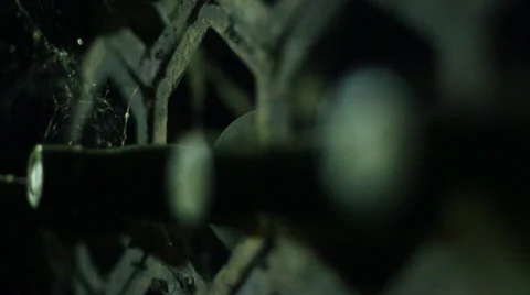 Old bottles of wine in storage Stock Footage 34416674