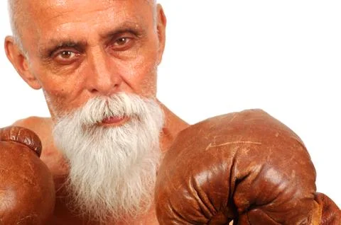 Old boxer 1 Stock Photos