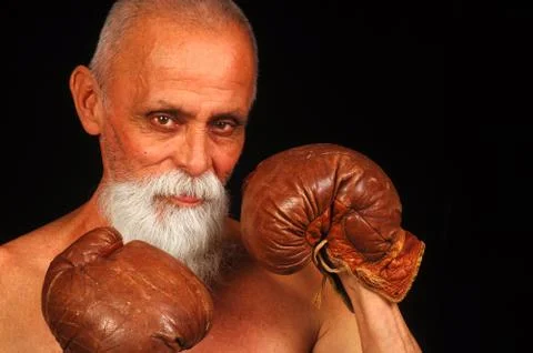 Old boxer 2 Stock Photos