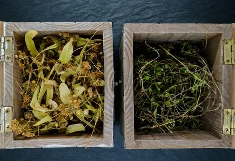 Old Boxes with Dry Herbs on Blue Stone Background Surface Foto stock