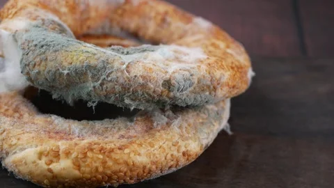 Old bread with mold on wooden surface Stock Footage 341070849