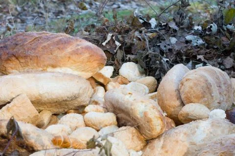 Old breads in the nature closeup Stock Photos
