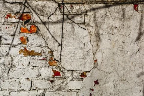 Old break wall with bright colors and branch shadow. Texture Stock Photos