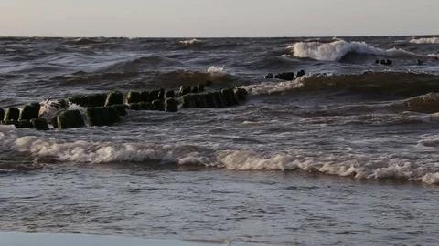 Old breakwaters in the Baltic sea at sunset Stock Footage 72658849