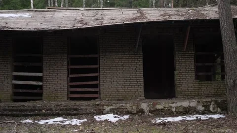 Old brick abandoned building in a spruce forest Vídeos de archivo 260346671