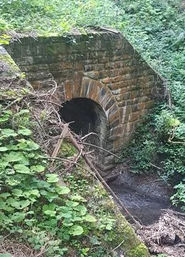 Old brick arch bridge over a small stream in a forest. Stock Photos