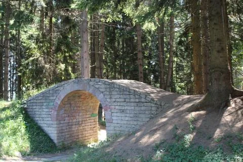 Old brick bridge in forest Stock Photos