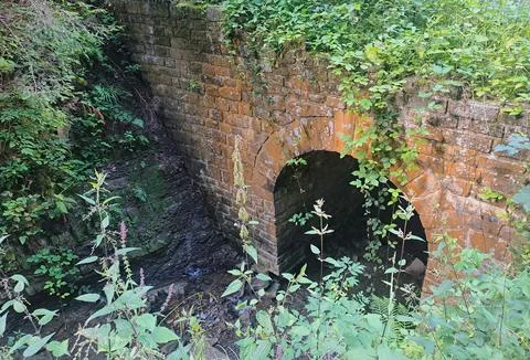 Old brick bridge surrounded by lush vegetation in a forest. Stock Photos