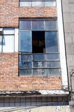 Old brick building facade with large industrial windows and a dog peeking out Stock-Fotos