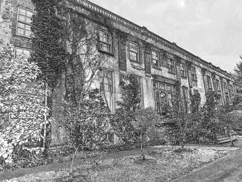 Old brick building facade with leafy trees and windows Stock Illustration