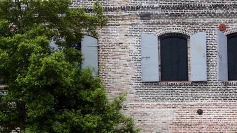 Old brick building with tree infront  new orleans Stock Footage