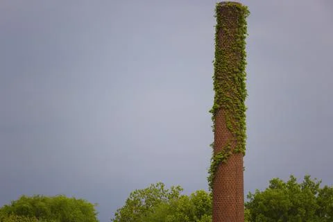 Old brick coal stack covered with vines. Stock-Fotos