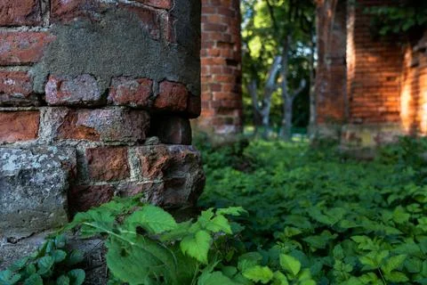 Old brick columns in the thick grass Stock Photos