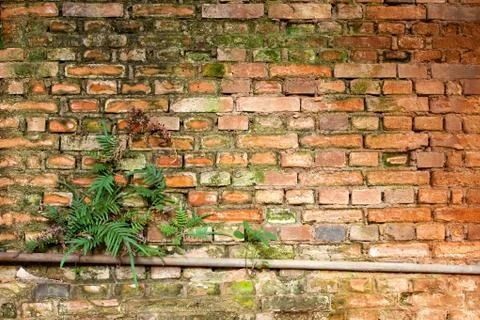 Old brick orange wall pattern texture Stock Photos