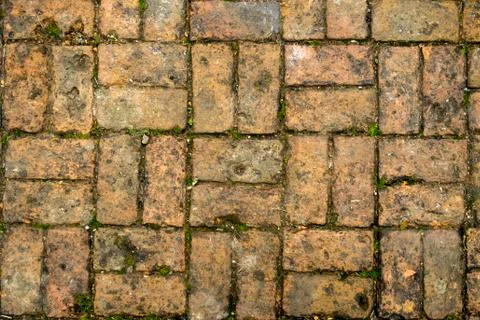 Old brick paving Stock Photos