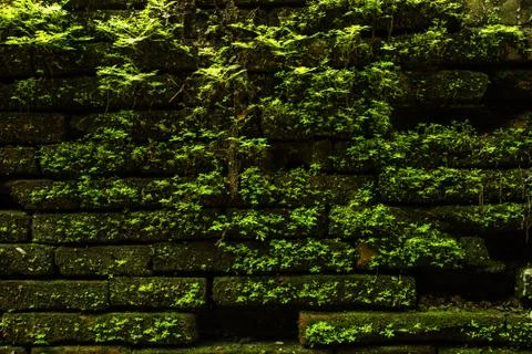 Old brick Stock Photos