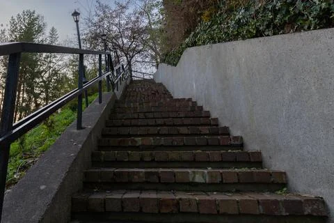 Old brick staircase with metal railing and ivy wall Stock Photos