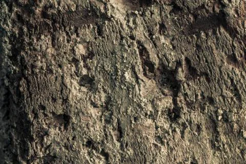 Old brick texture Stock Photos