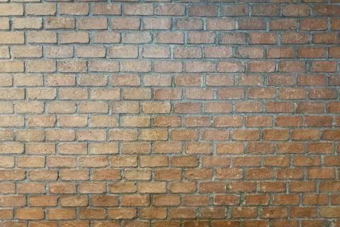 Old brick wall. background and texture. Stock Photos