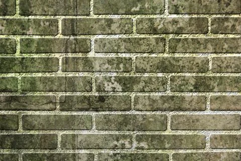 Old brick wall background. Stock Illustration