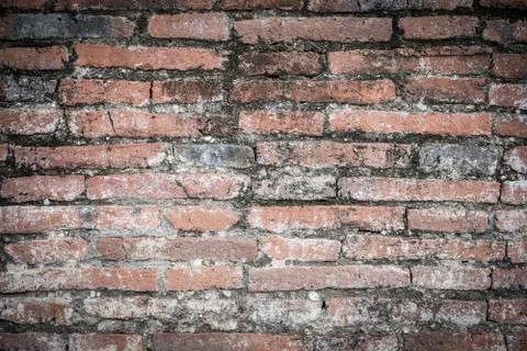 Old brick wall in a background image Stock Photos