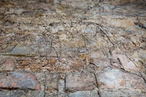 Old brick wall in a background Stock Photos