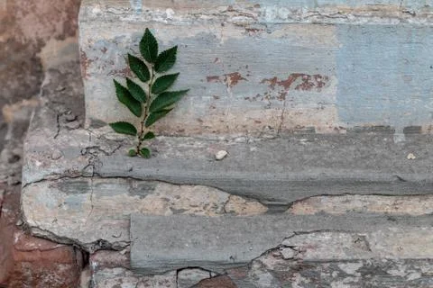 Old brick wall background Stock Photos