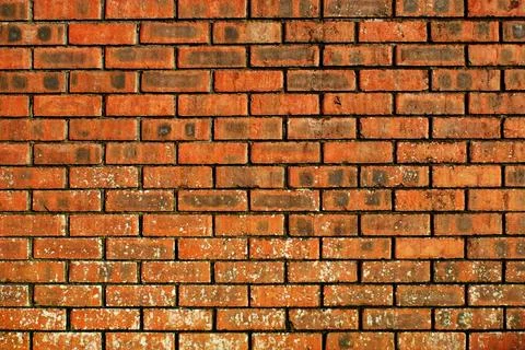 Old brick wall. Background texture Foto stock