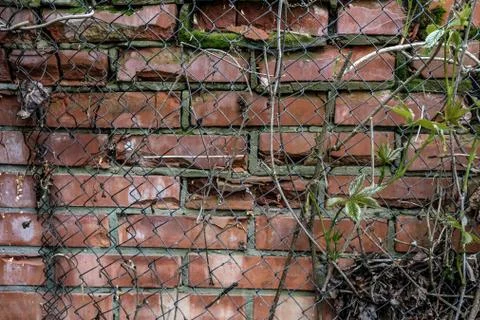 Old brick wall behind the grid. Stock Photos