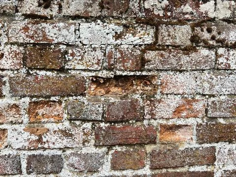Old brick wall. Brickwork from an old brick in a rustic style. The structur.. Stock Photos