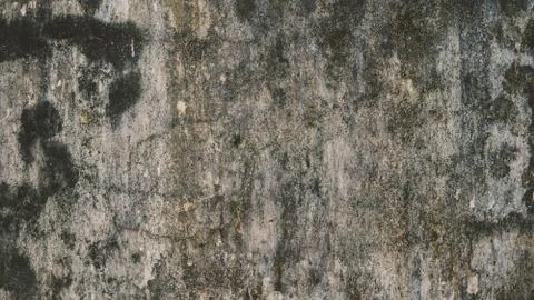 Old brick wall close-up view. Stock Photos