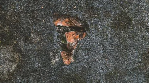 Old brick wall close-up view. Stock Photos