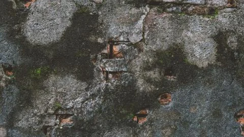 Old brick wall close-up view. Stock Photos