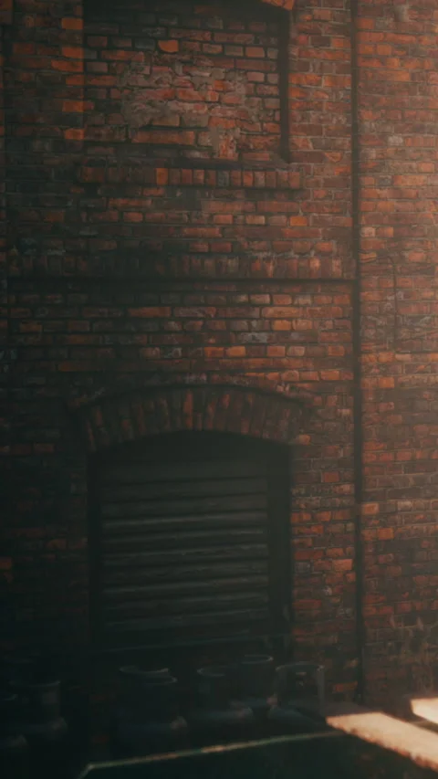 Old brick wall with a closed wooden door in a quiet area at sunset Stock Footage 342656009