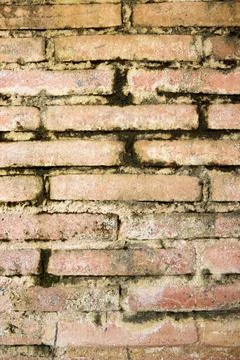 Old brick wall closeup Stock Photos