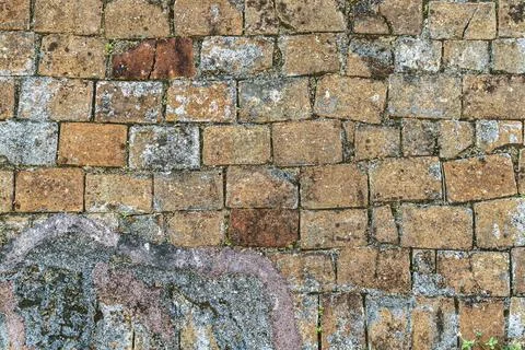 Old brick wall covered with mold Stock Photos