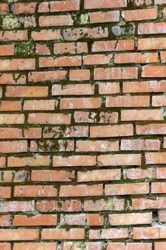 Old brick wall covered with moss in places Stock Photos