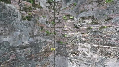 Old Brick Wall, Fort Cornwallis, George Town, Penang, Malaysia Stock Footage 301425460