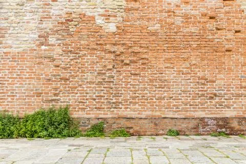 Old brick wall with grass with copy space Stock Photos